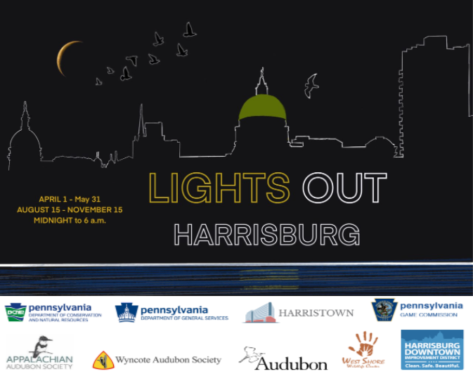Mayor Williams asking City of Harrisburg residents to go “Lights Out” to help bird migration