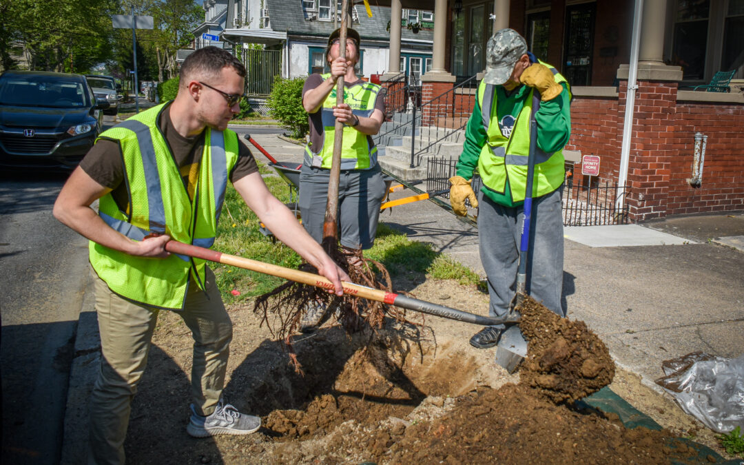 Volunteers needed for City of Harrisburg seasonal tree planting