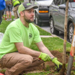 Cleaner and Greener: 30 new trees planted in East Harrisburg